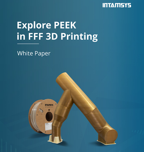 PEEK White Papers Intamsys