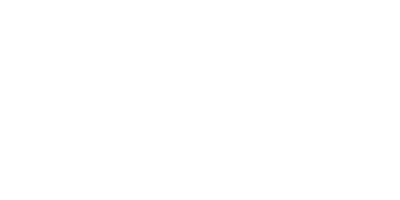 Leine Linde kund case